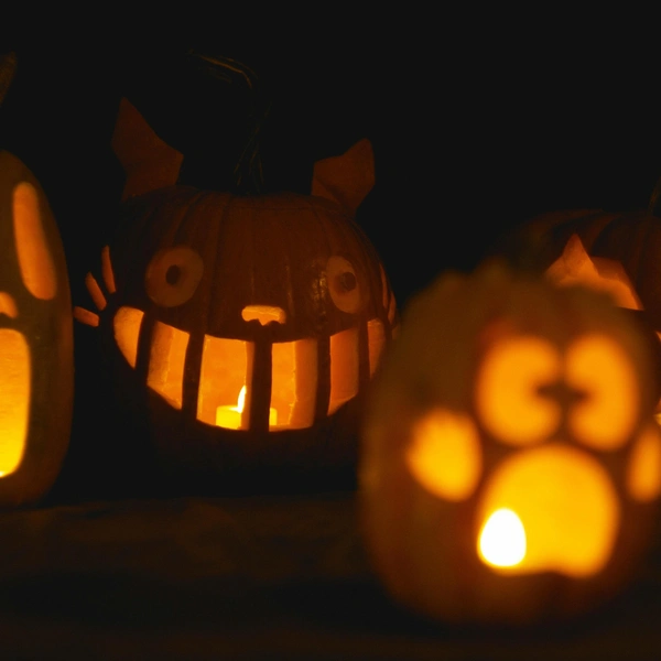 Источник: Unsplash