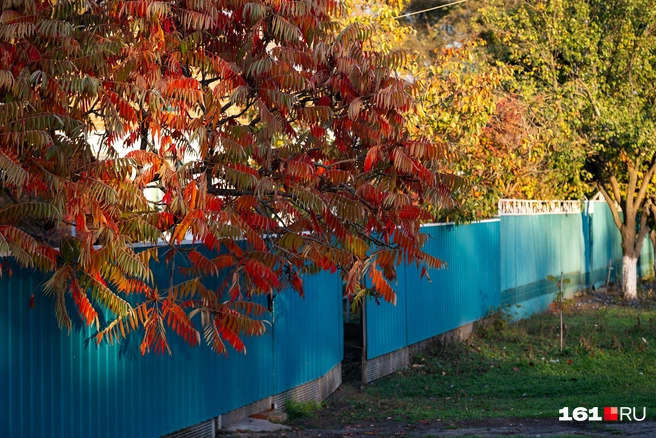 Источник: Евгений Вдовин / 161.RU