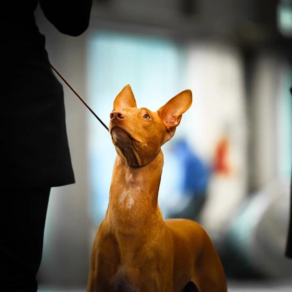 Источник: SubertT/Shutterstock/Fotodom.ru
