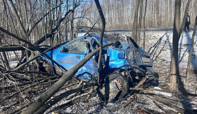 ДТП на трассе М5 | Источник: УМВД по Рязанской области