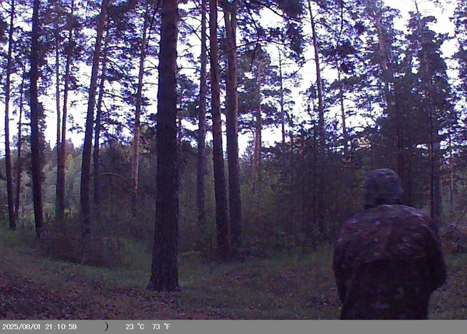 Установщик камеры снял себя во время настройки | Источник: Сохраним городской Лес / t.me
