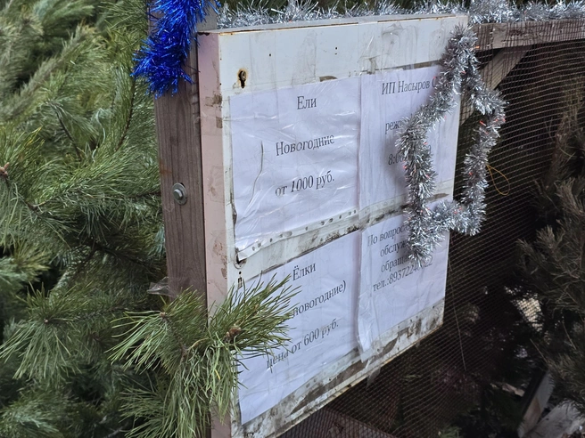 У торговца Марата есть стенд со всеми данными | Источник: Семен Коротов-Майбах / 164.RU