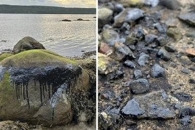 Росприроднадзор требует с Мурманской ТЭЦ 88 тыс. руб.