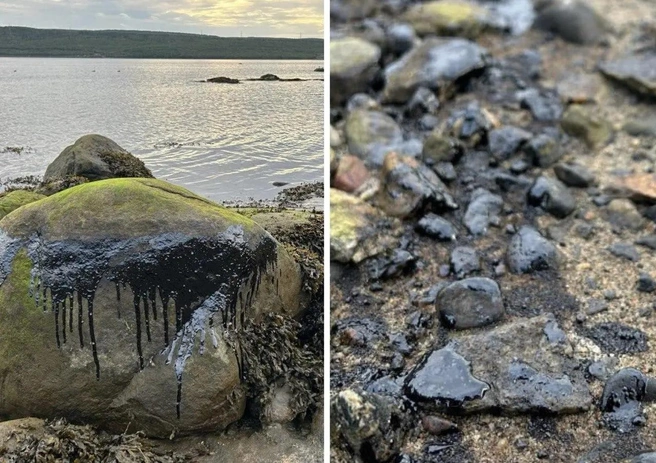 Власти Мурманска заявили, что ситуация находится под контролем | Источник: Ирина Миронова