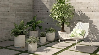 Сад в стиле минимализм: лучшие покупки для лета