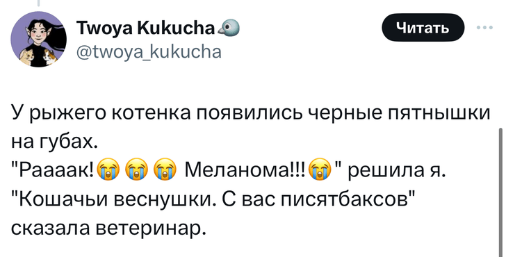 В «Твиттере» делятся тупыми причинами, по которым возили животных в ветеринарные клиники. И это уморительно!