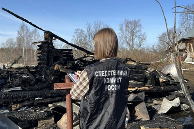 Расследование гибели пенсионера при пожаре в Вологодском округе