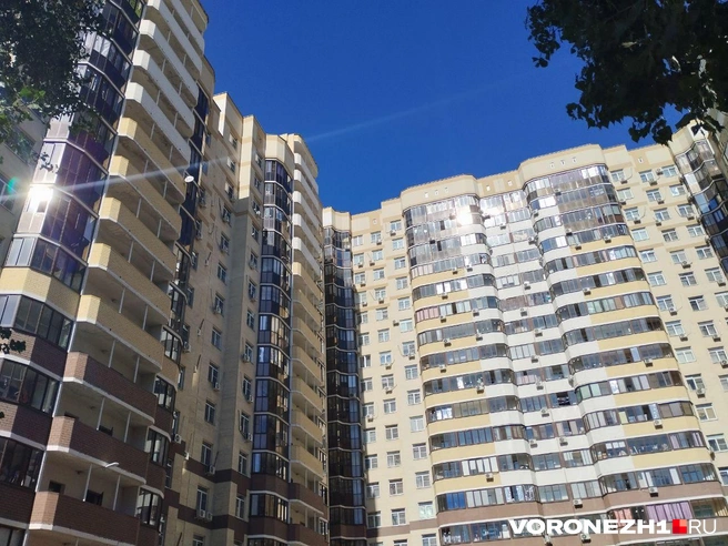 Источник: Дмитрий Волгин / Voronezh1.ru