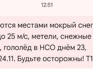 МЧС Новосибирской области | Источник: Предупреждение от МЧС