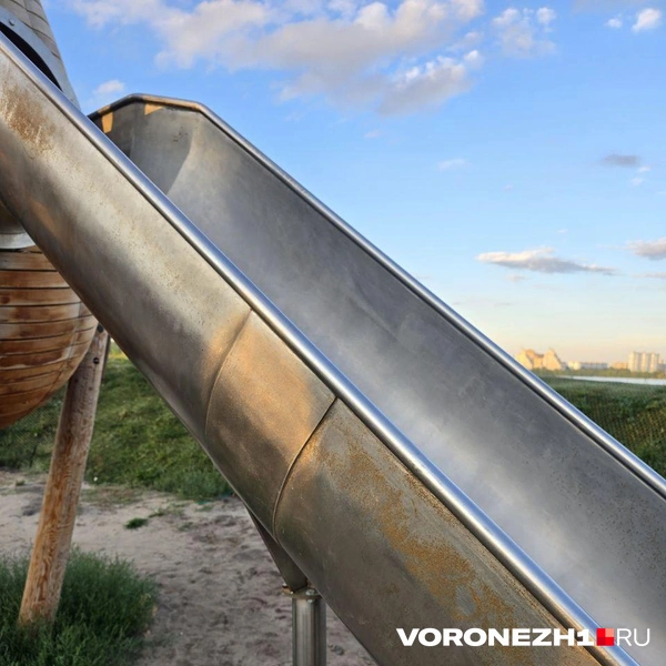 Источник: Ирина Булгакова \ Voronezh1.ru