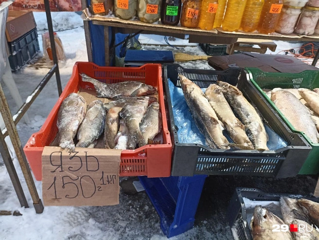 Источник: Иван Митюшёв / 29.RU