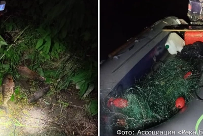 На Камчатке задержаны браконьеры с уловом нерки