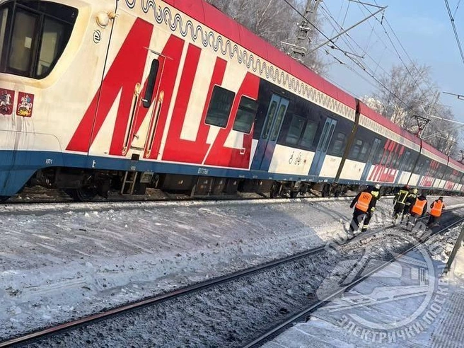 На МЦД-2 произошел сбой в движении электричек из-за человека на путях | Источник: Подслушано электрички Москвы / T.me