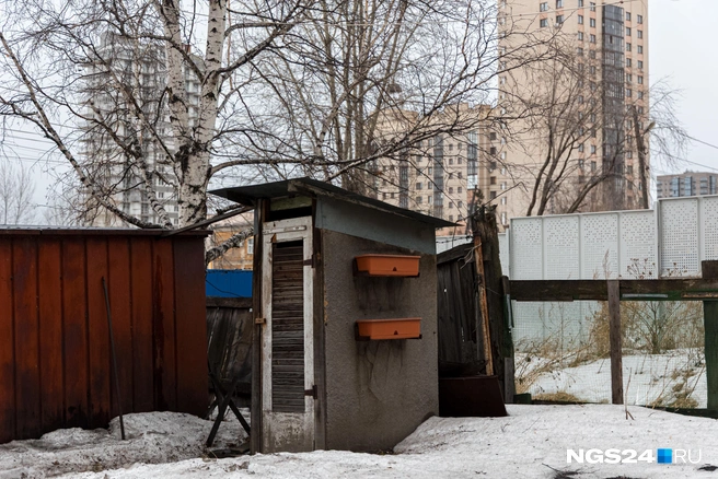Удобства на улице | Источник: Мария Ленц / NGS24.RU
