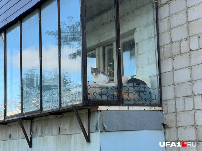 Это я удивлённо смотрю на расписание автобусов | Источник: Андрей Бирюков / UFA1.RU