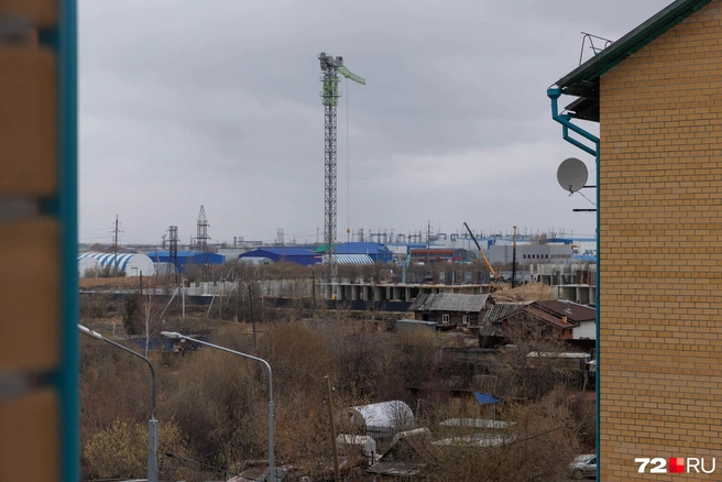 Стали известны подробности про женщину, которая выбросила младенца | Источник: Ирина Шарова / 72.RU