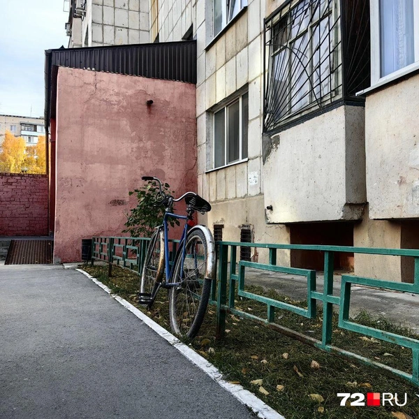 Источник: Павел Красоткин / 72.RU 