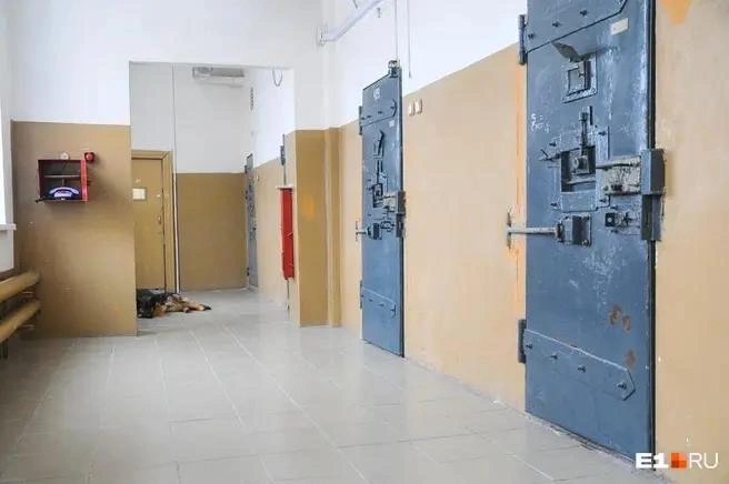 Сочинца осудили сразу по трем статьям | Источник: Артём Устюжанин / E1.RU
