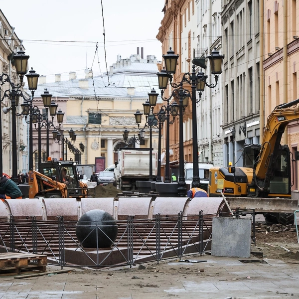 Источник: СПб ГБУ «Центральное УРДиБ»