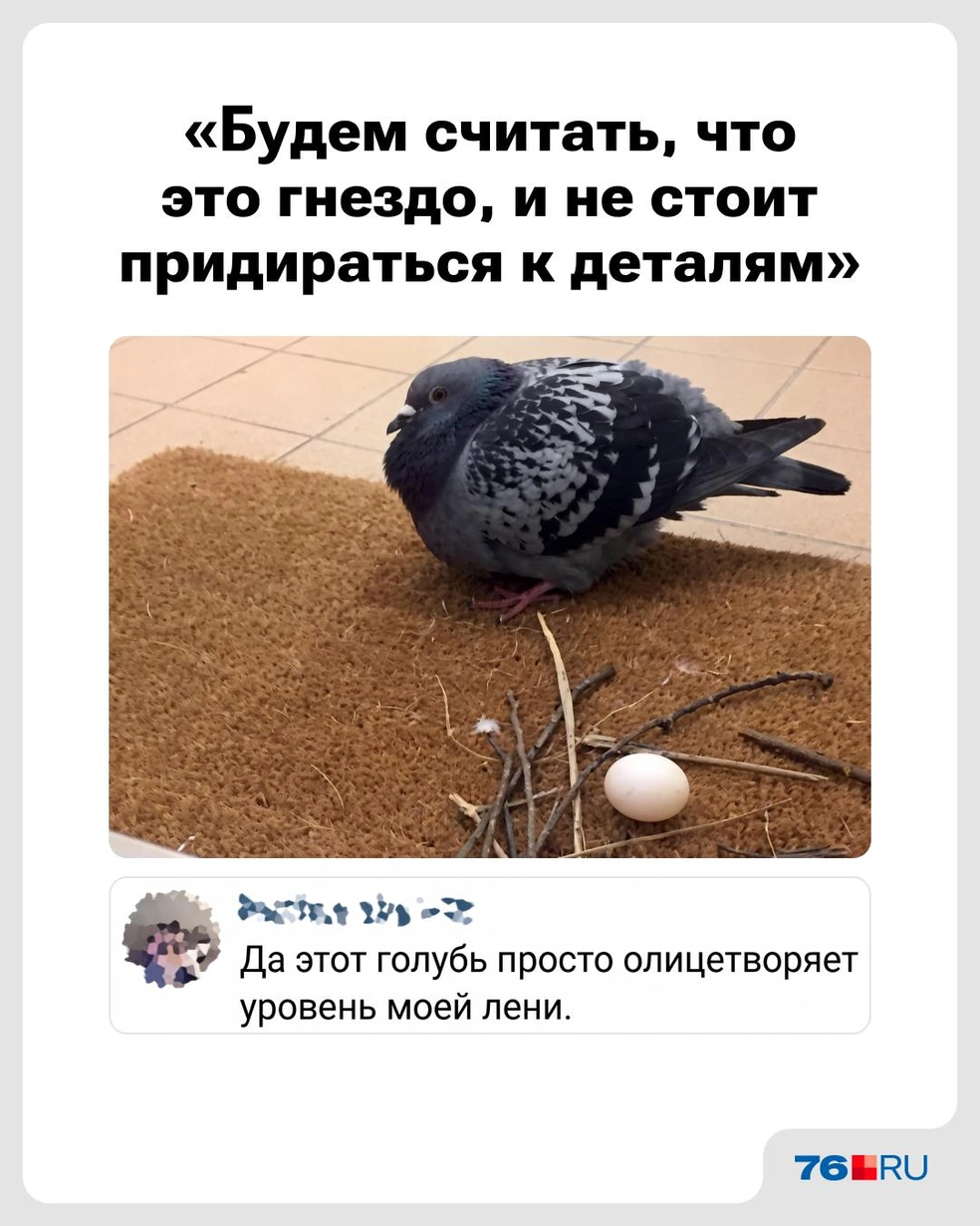 Зато своими силами | Источник: Городские медиа