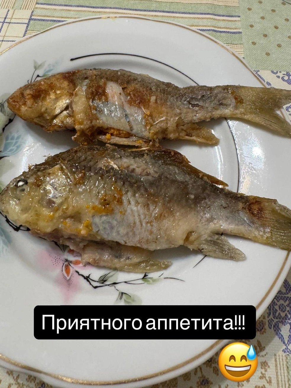 Чувствуете аромат? | Источник: razin.a.v / instagram.com (деятельность соцсети запрещена в России)
