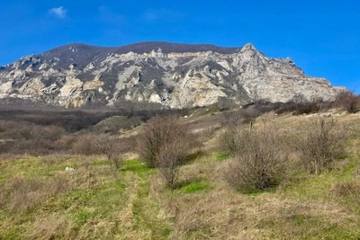 Организатора экомероприятия оштрафовали в заповеднике