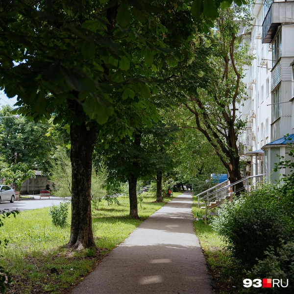Источник: Дарья Паращенко / 93.RU
