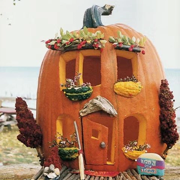 Источник: Ким Людвичак и Рене Вишневски