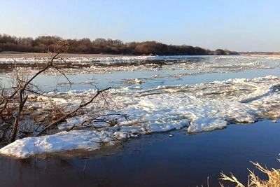 В Архангельской области начался ледоход