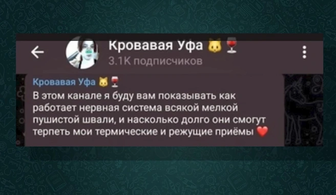 Якобы телеграм-канал Дианы | Источник: Истории без сахара. Погребижская / YouTube.com