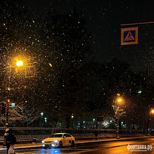 Источник: читатель «Фонтанки»