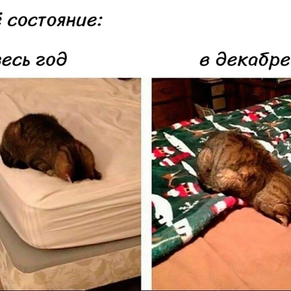 Источник: соцсети