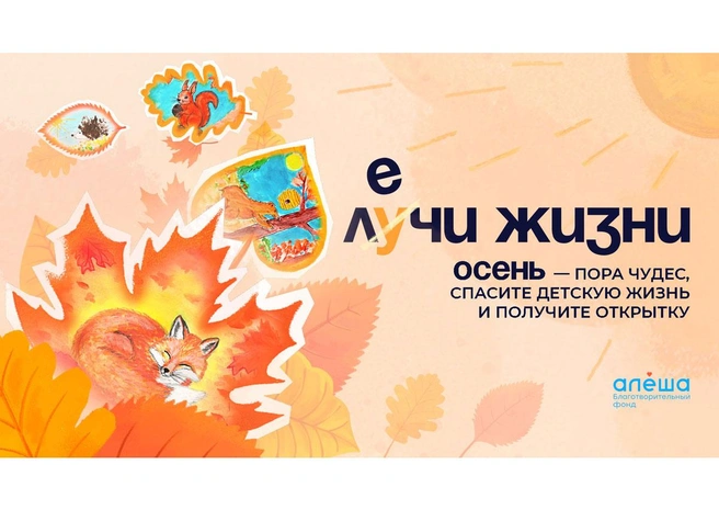 Фонд «Алёша» запустил осеннюю акцию «Лечи жизни» | Источник: БФ «Алёша»