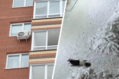 Пятиклассница разбилась насмерть, выпав из окна в Перми