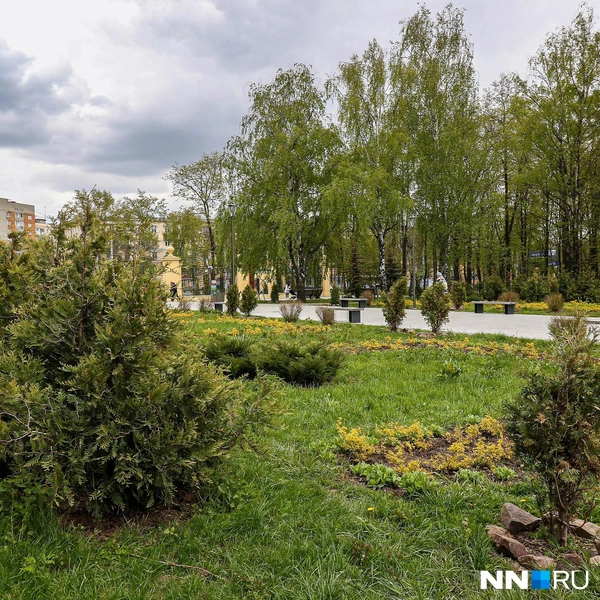 Протяженность парка — четыре километра | Источник: Наталья Бурухина / NN.RU