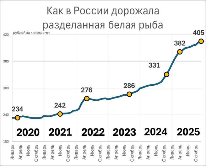 Источник: «Фонтанка.ру»