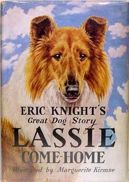 Четвероногая звезда Голливуда: 6 фактов о Лесси — самой известной собаке в мире