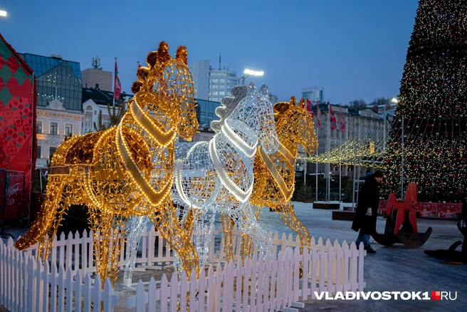 Источник: Елена Буйвол / VLADIVOSTOK1.RU