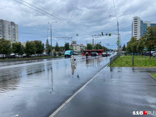 Источник: Дарья Сайфиева / 116.RU