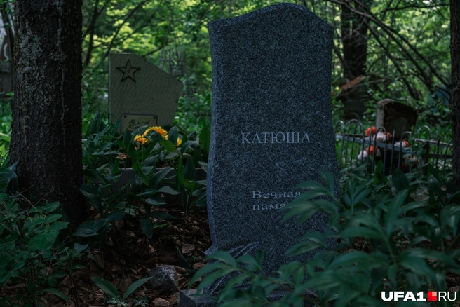 Катюше было бы 43 года