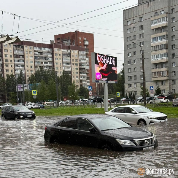 Источник: читатель «Фонтанки»