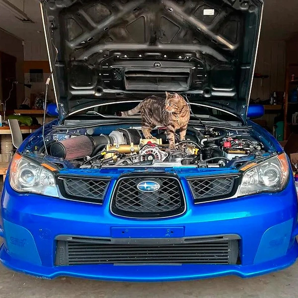 Источник: соцсети