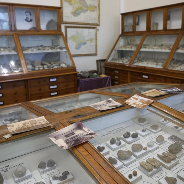 Источник: Mamontova Marina/ Fontanka.ru