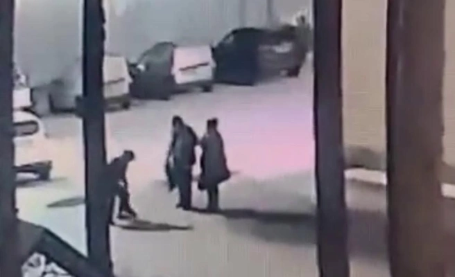 Ударила о землю. Видео с расправой хозяйки над собакой в Луге привлекло внимание прокуратуры | Источник: ФОНД ПОМОЩИ ДОБЕРМАНАМ ДОБЕРСПАС / DOBERSPAS