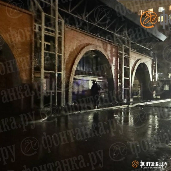 Источник: Ирина Лысак / «Фонтанка.ру»