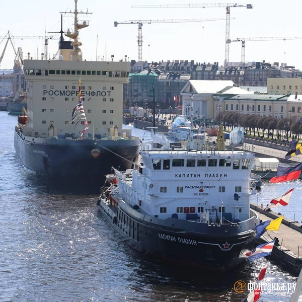 Источник: Валентин Егоршин / «Фонтанка.ру»