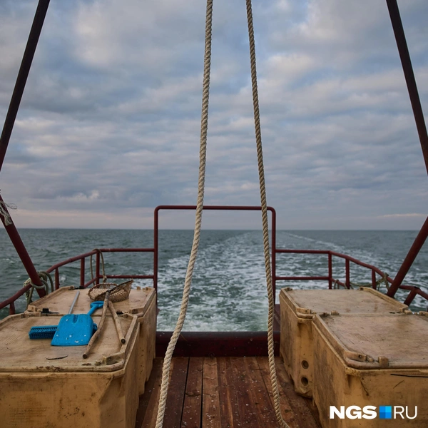 На корме тоже стоят боксы, но сначала рыбаки наполняют те, которые охлаждает вода | Источник: Александр Ощепков / NGS.ru