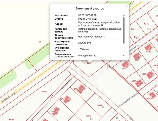 Тот самый участок, на котором стоит автомойка. Один из участков Янкиных&nbsp;— по диагонали под номером 1440 | Источник: скриншот с публичной кадастровой карты РФ / Roscadaster.com