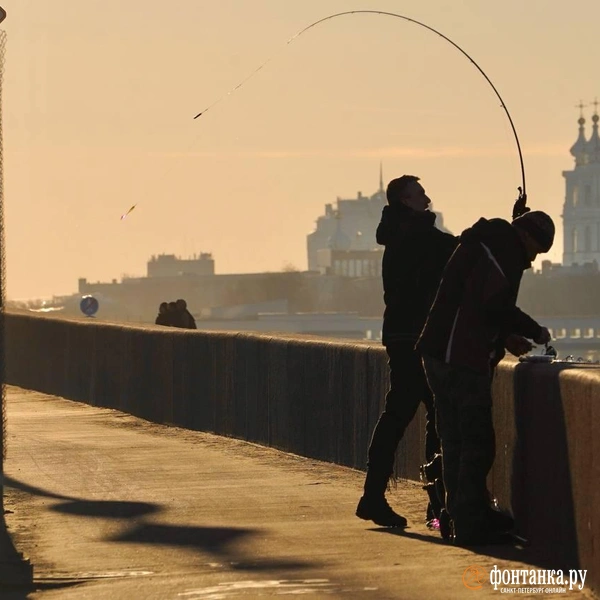 Источник: Павел Даиси / «Фонтанка.ру»