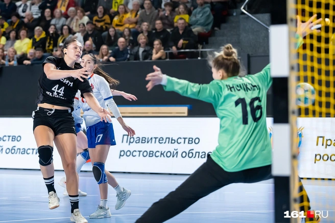 Источник: Евгений Вдовин / 161.RU